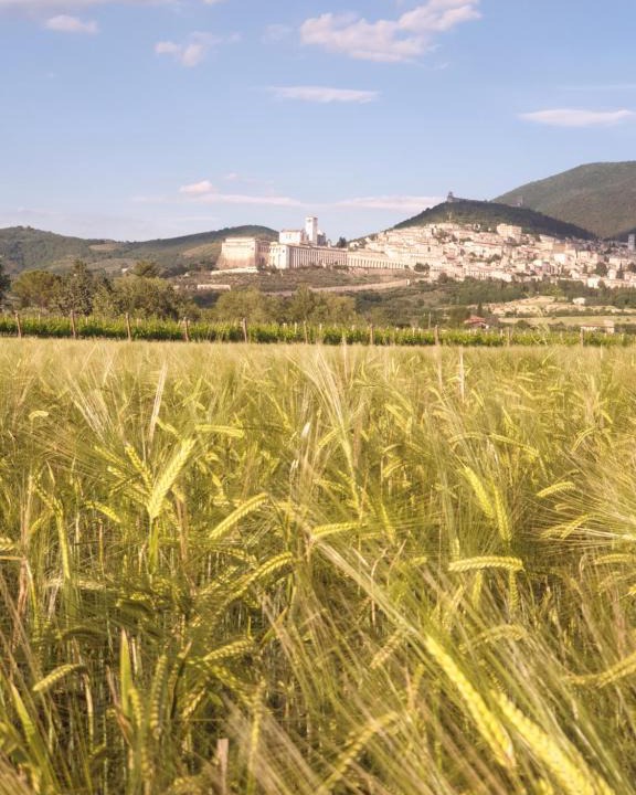 Santa Maria degli Angeli Bed & Breakfast | B&B Domus Benedicta