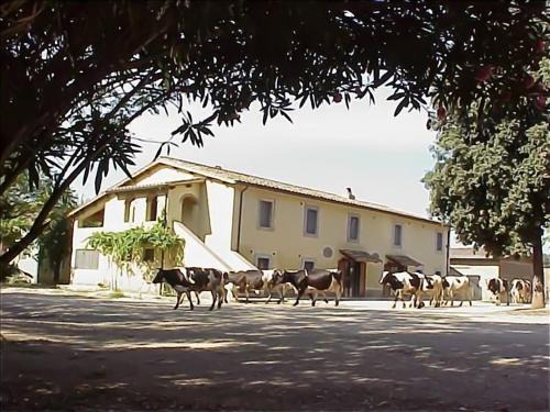 Orte House | Biobagnolese Agriturismo