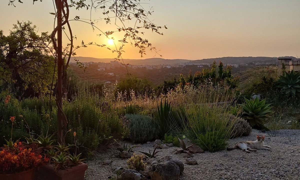 Avola Villa | Casa Isabella - a cook's and garden lovers paradise - perfect for winter rental