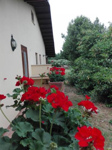 Civita Castellana Apartment | Casa Marilè