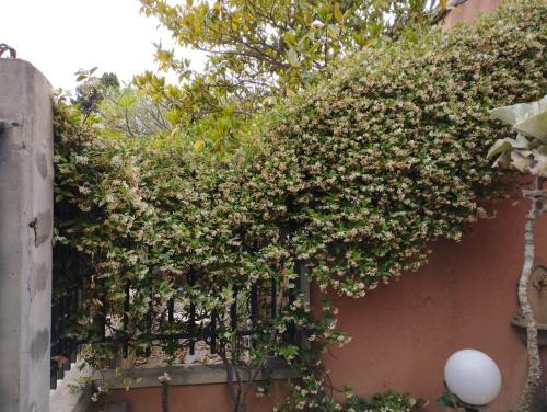 Partanna House | Casabella Mondello