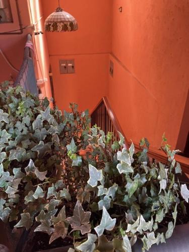 Albizzate House | Dolce Vita