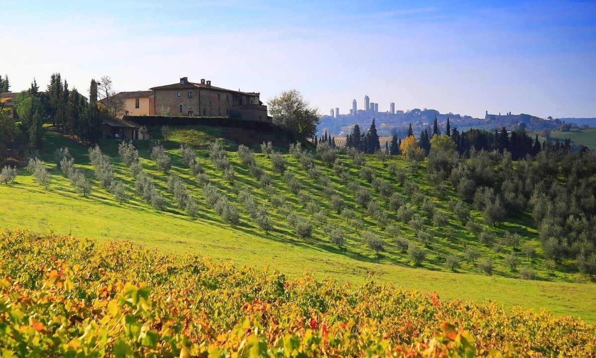 San Gimignano House | Montegonfoli 5 Apartment in San Gimignano for 4 + 2 with great views