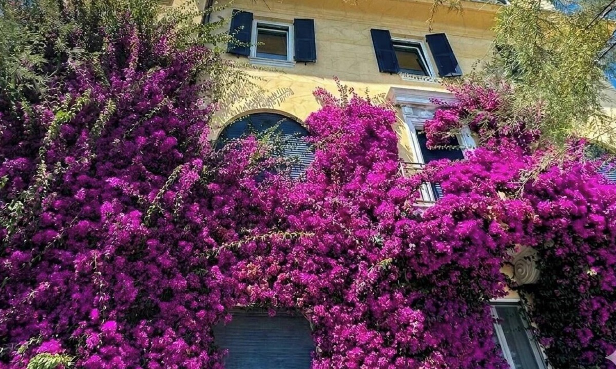 Cinque Terre Apartment | Villa Ferrer Best view of the sea and the 5terre