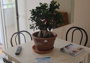 Two-room apartment 4 places close to the sea