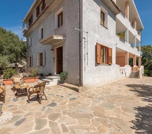 Papavero Cala Gonone 