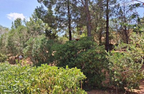 Villa San Pietro Apartment | Apartment in Del Mirto Holiday House with terrace overlooking the sea of Nora