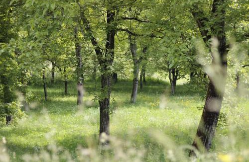 Bleggio Superiore Bed & Breakfast | B&B Casa Gori