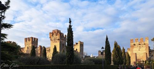Pedemonte Apartment | Casa delle Magnolie Valpolicella vicino Verona Free Parking