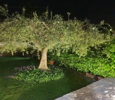 Elice Resort | Casa Rosa