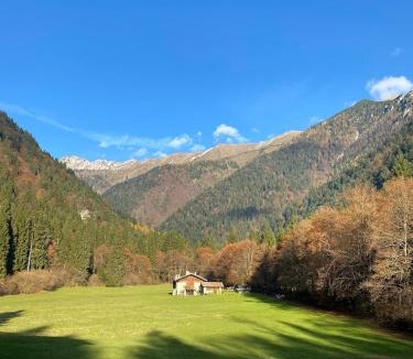 Concei Apartment | Fenil da Co