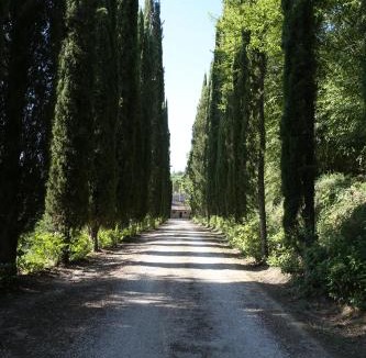 Mugnano in Teverina House | La viola
