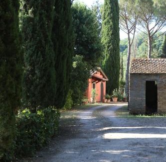 Mugnano in Teverina House | La viola