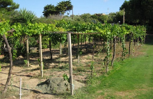 Alghero Apartment | Villa Paradiso