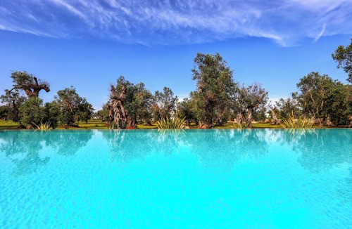 Diso House | Villa with pool among olive trees in Puglia