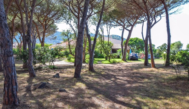 1 bedroom beach front home in Budoni