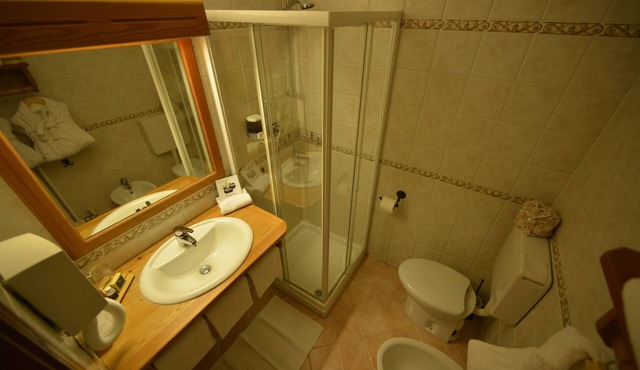 ALBERGO ALPENROSE Ski&Bike Mountain Hotel