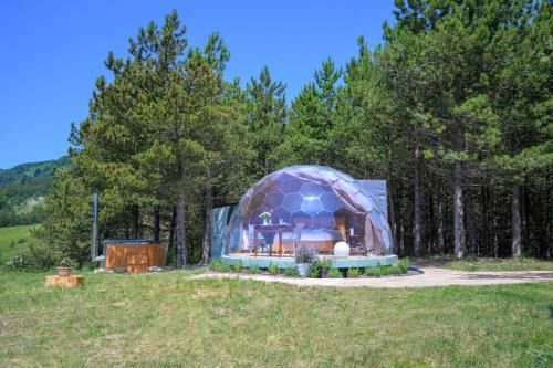 Bubble Room Experience