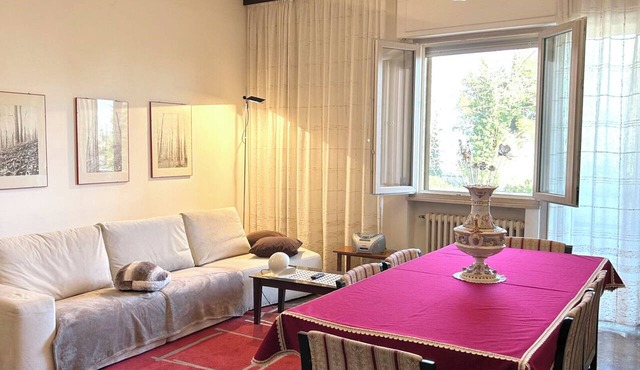 Comfortable Apartment
