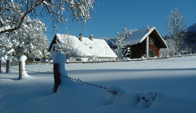 Cozy farmhouse in splendid isolation surrounded by fields and woods in Voderstoder