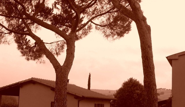 Farmhouse with wine cellar near the sea, Saturnia Spa and Nature Park