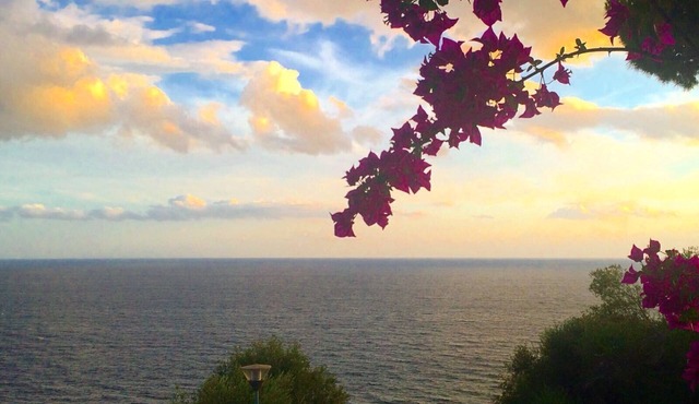 Bluehorizon