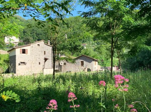 Magic Mill Castagnetoli