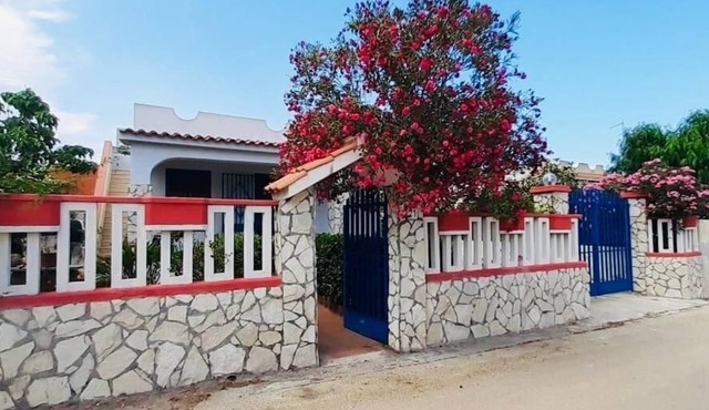 Oasis Home