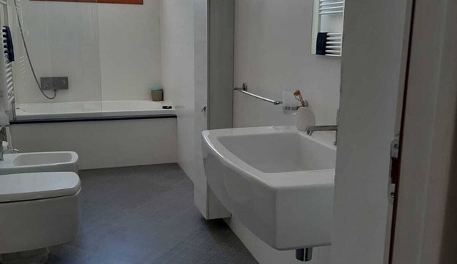 Spacious renovated one-bedroom apartment