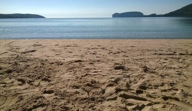 Spacious Summer Apartment 200m from the beach