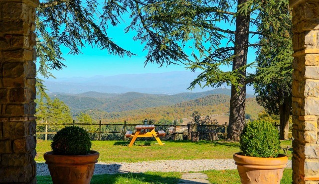 Stunning private villa with private pool, A/C, WIFI, TV and pets allowed, close to Arezzo