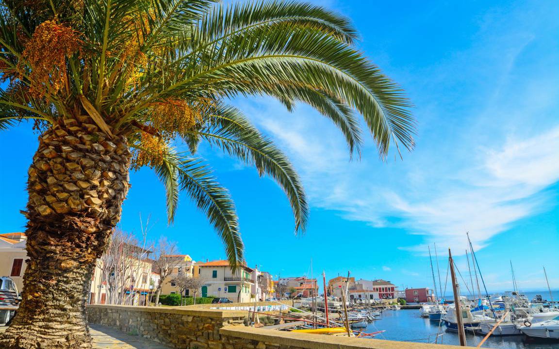 Photo of Others in Stintino