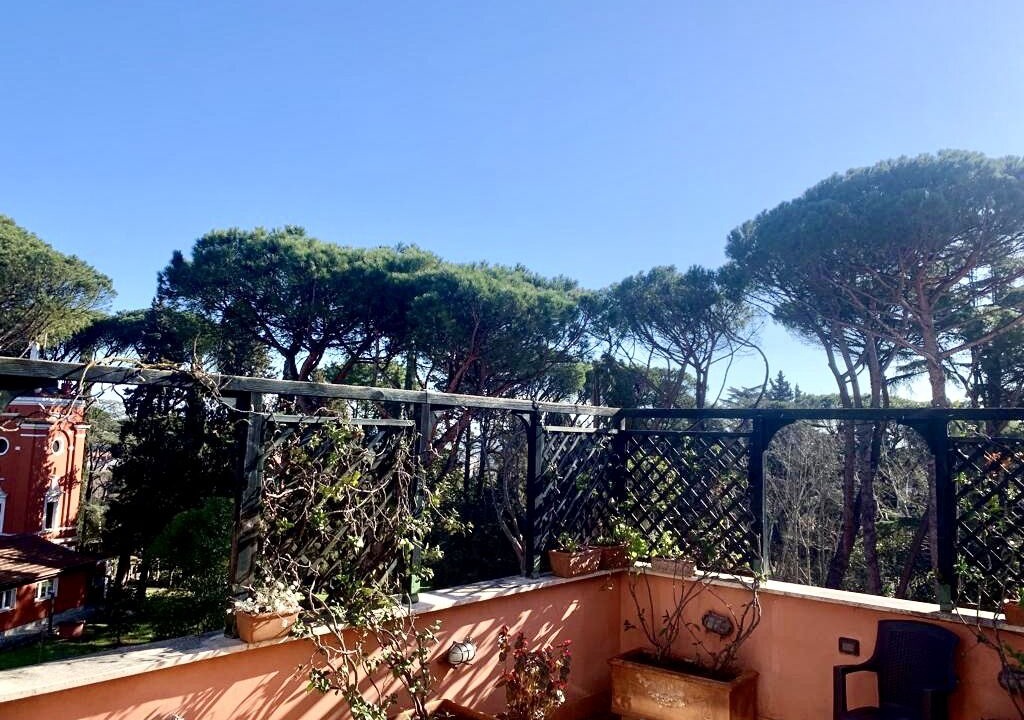 Photo of Outdoor in Cassia