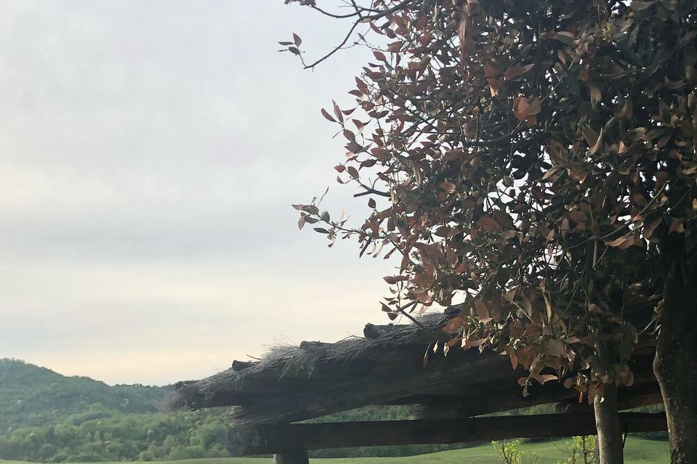 Photo of Outdoor in Chiusdino