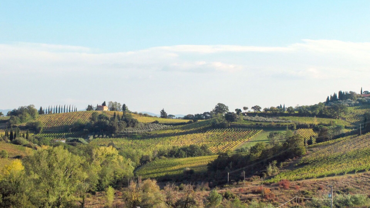 Photo of Outdoor in Poggiarello