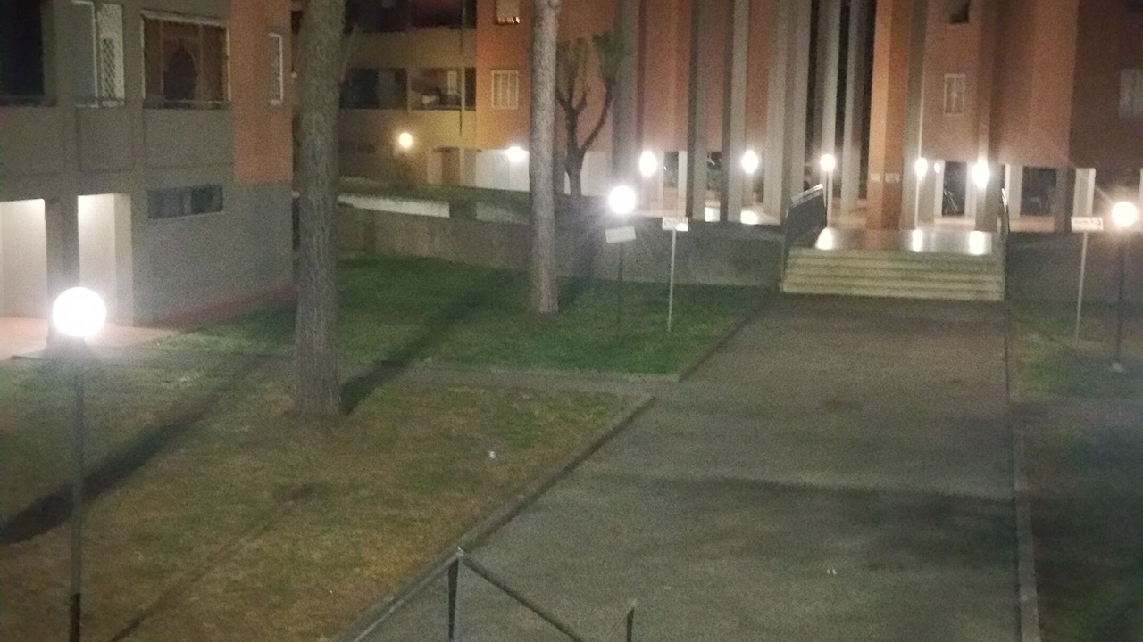 Photo of Outdoor in Cassia
