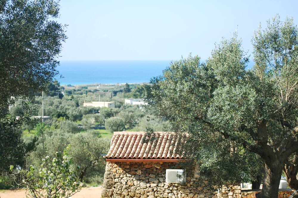 Photo of Others in Marina di Pescoluse