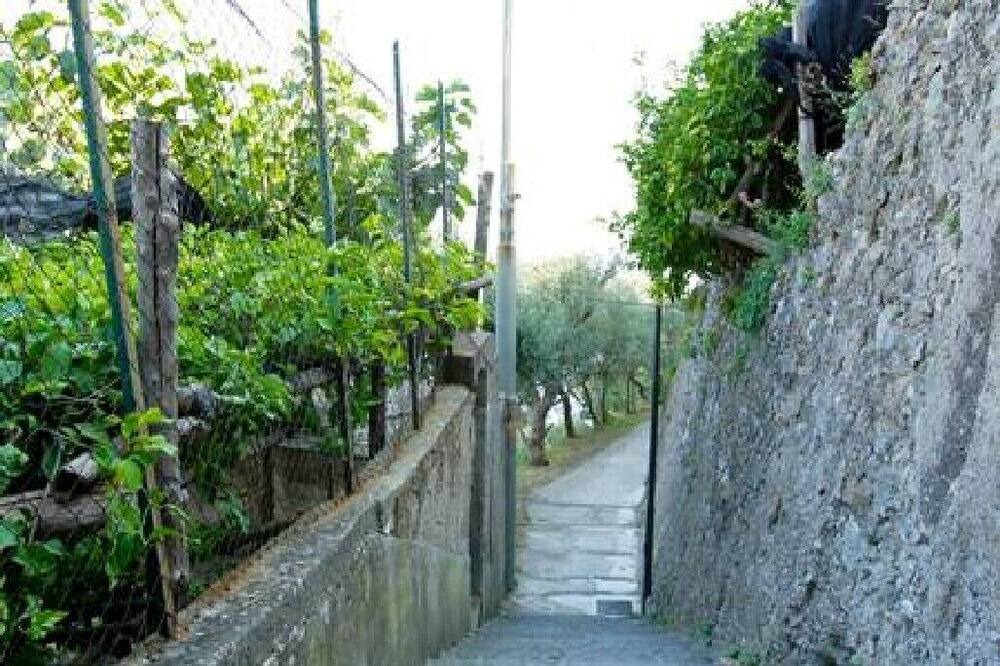 Photo of Outdoor in Castiglione