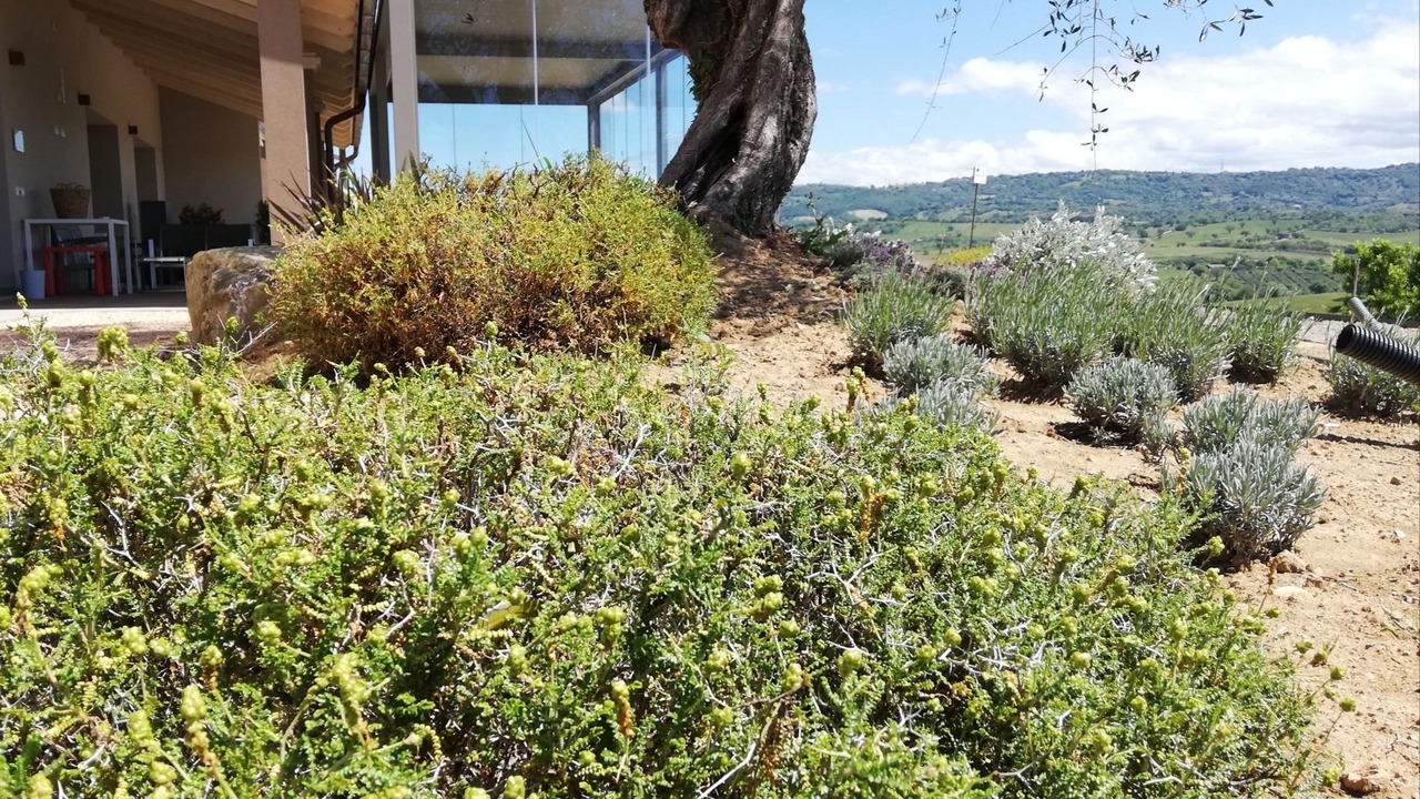 Photo of Outdoor in Magliano in Toscana