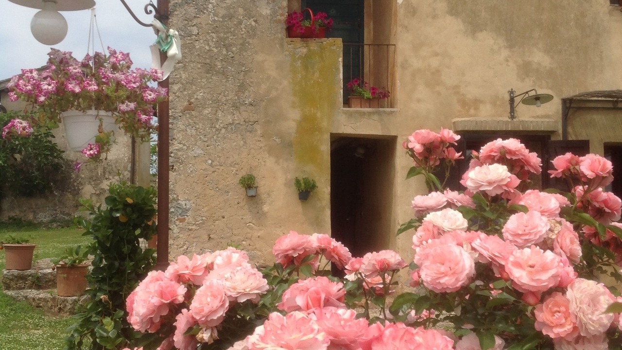 Photo of Outdoor in Monteriggioni