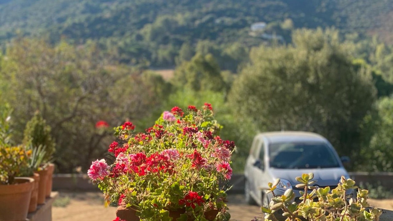 Photo of Outdoor in Villaggio delle Mimose