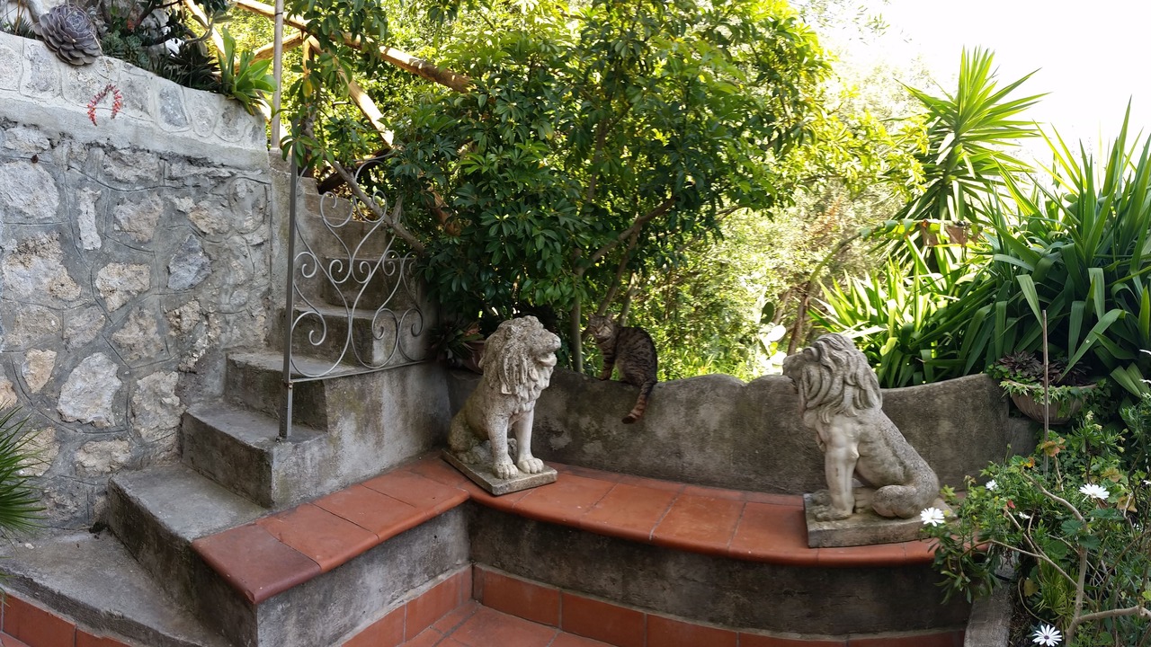 Photo of Outdoor in Praiano