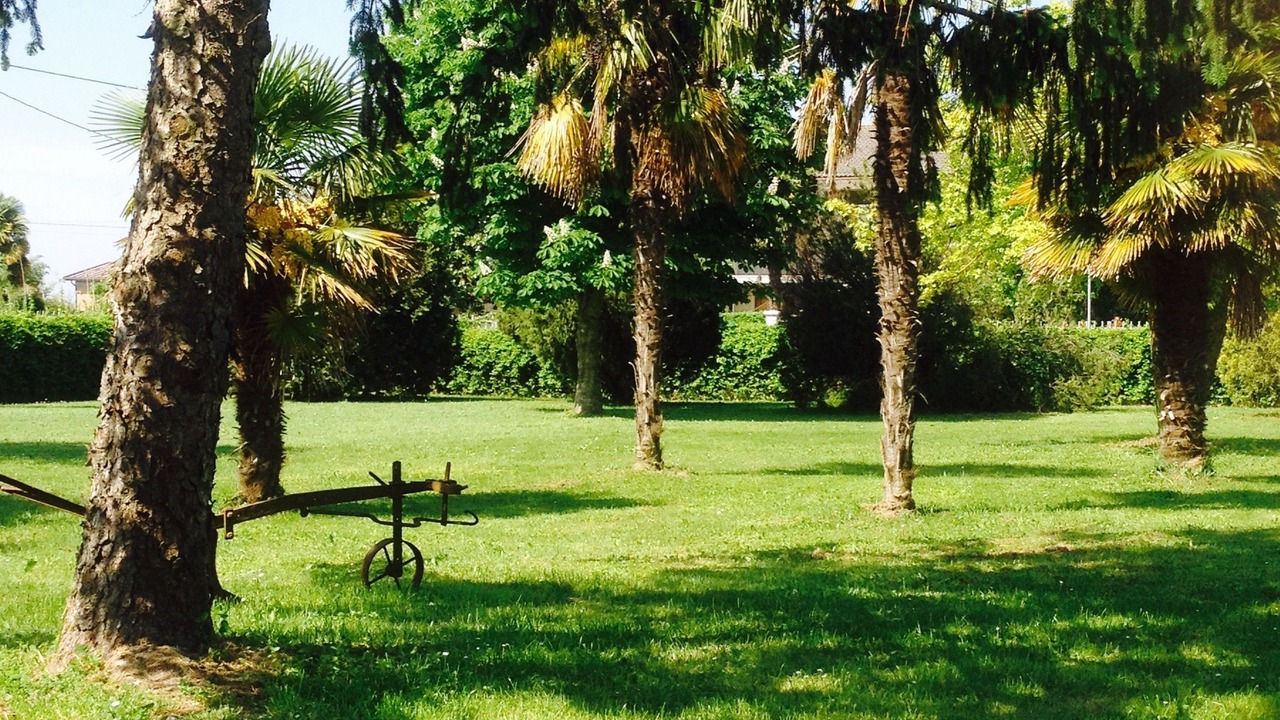 Photo of Outdoor in Lido di Jesolo