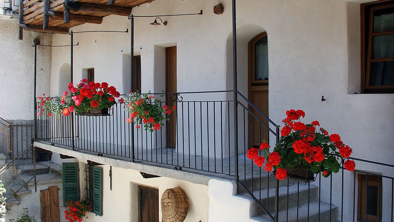 Photo of Outdoor in Valtellina