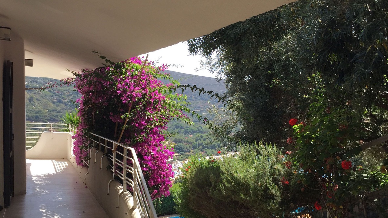 Photo of Outdoor in Torre delle Stelle