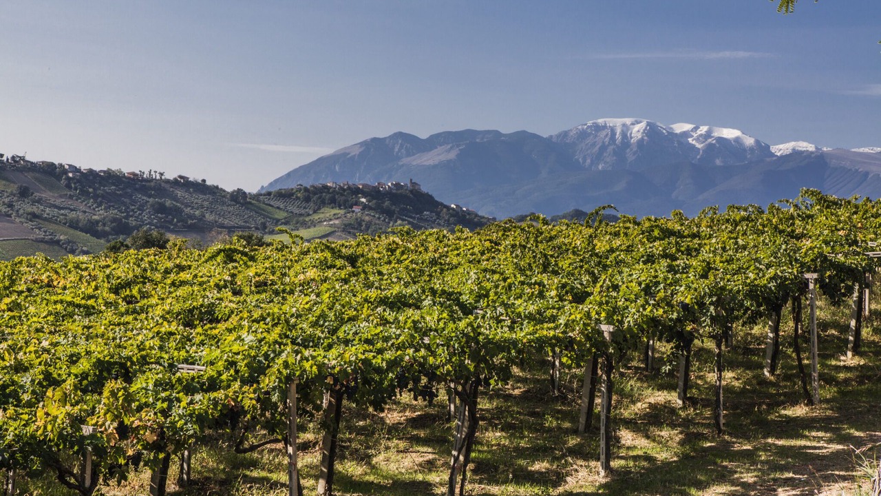 Photo of Outdoor in Torino di Sangro