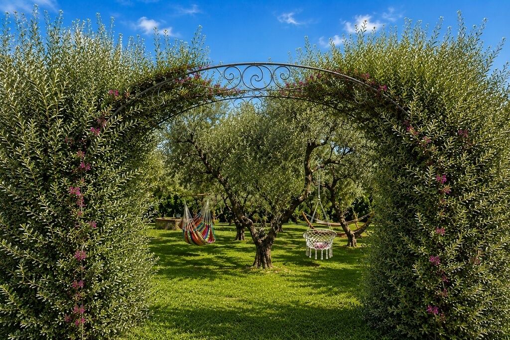 Photo of Outdoor in Alghero