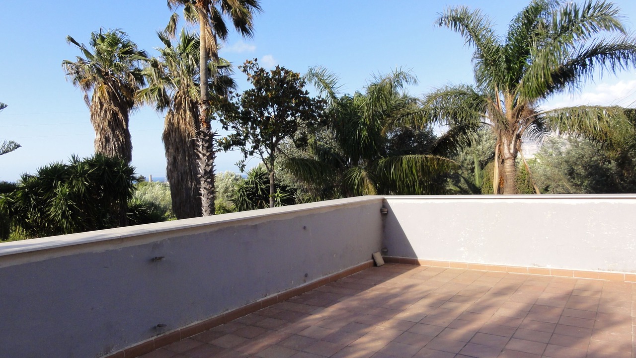 Photo of Outdoor in Carini