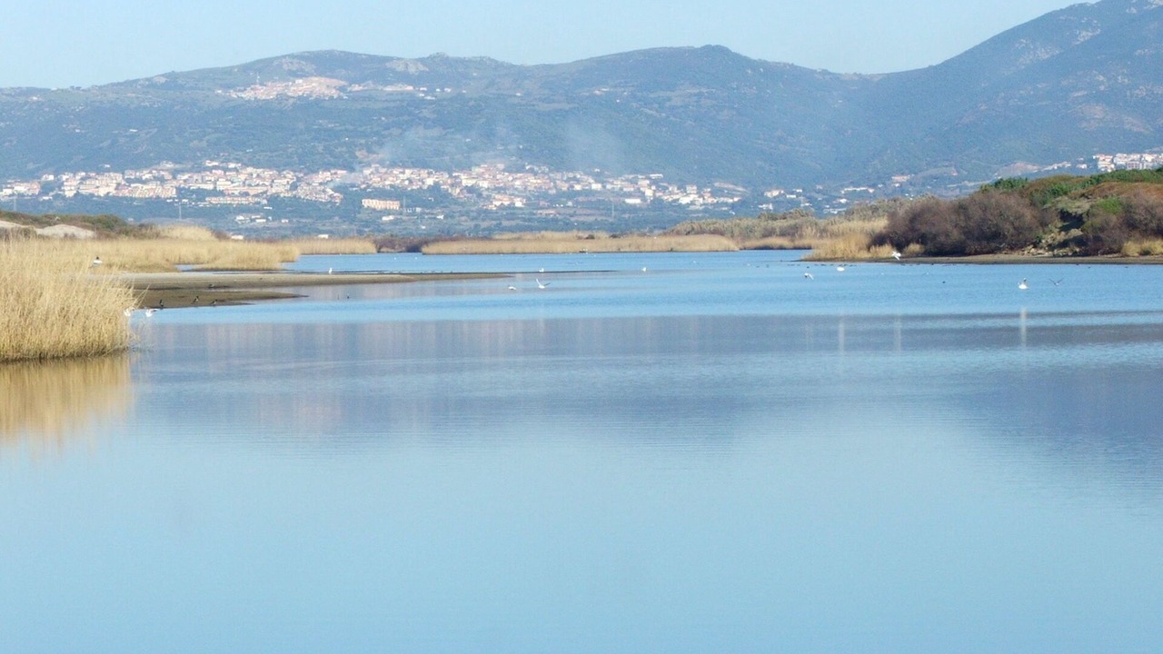 Photo of Outdoor in Viddalba