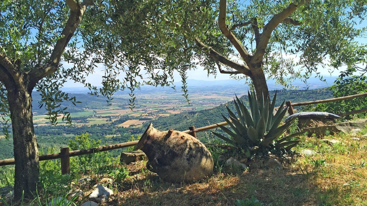 Photo of Outdoor in Cortona